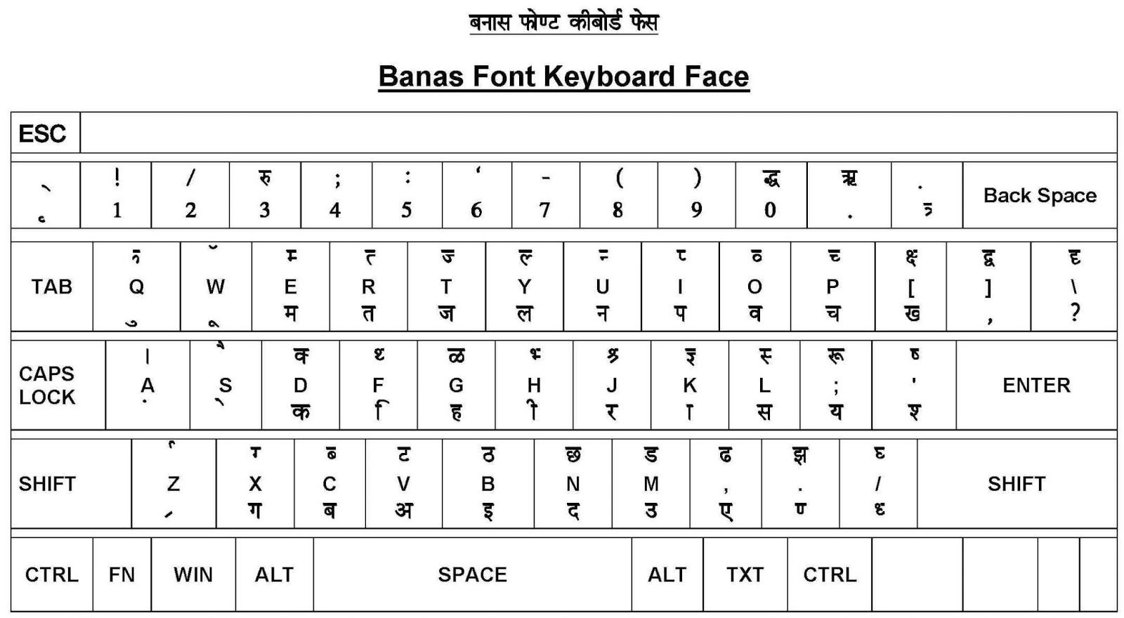 hindi typing exercise book download